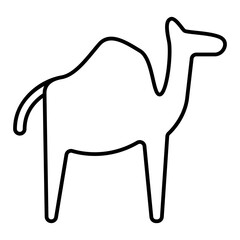camel animal 