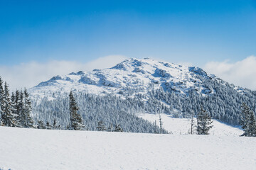 Alpine mountains landscape with white snow and blue sky. Sunset winter in nature. Frosty trees under warm sunlight.  Hiking winter to kralova hola, low tatras slovakia landscape © Zedspider