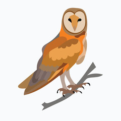  Illustration of a beautiful and cute Wolf bird