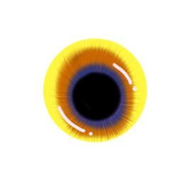 Eye with orange, yellow colored iris and yellow pupil