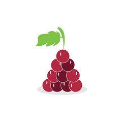Grapefruit icon illustration design free vector