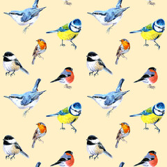 Seamless pattern of birds drawn with markers. Tits, nuthatch, bullfinch, robin and chickadees. On a beige background. For fabric, sketchbook, wallpaper, wrapping paper.