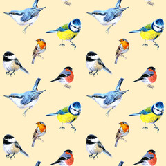 Seamless pattern of birds drawn with markers. Tits, nuthatch, bullfinch, robin and chickadees. On a beige background. For fabric, sketchbook, wallpaper, wrapping paper.