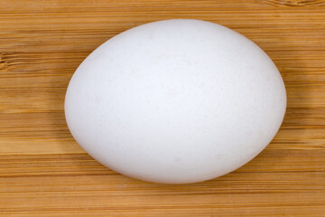 Whole white chicken egg on a wooden surface, top view