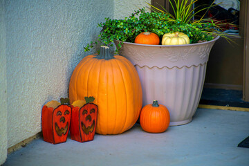 Front porch pumpkins with decorative halloween holiday autumn squash with plant in pot or vase by door and entrance
