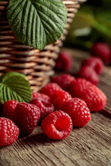 Ripe juicy raspberries with leaves.