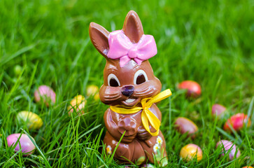 chocolate bunny in green grass in a circle of chocolate eggs