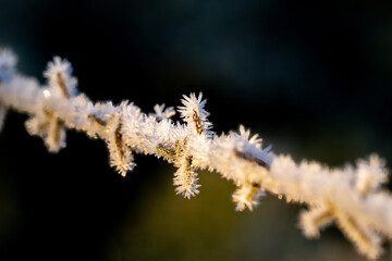 Close up image of frost crystals on barbed wire