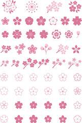 Pink Japanese cherry blossoms vector icon.