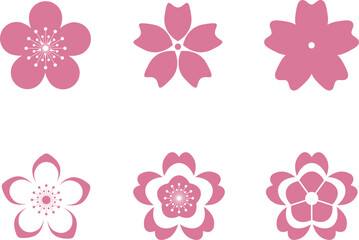Pink Japanese cherry blossoms vector icon.