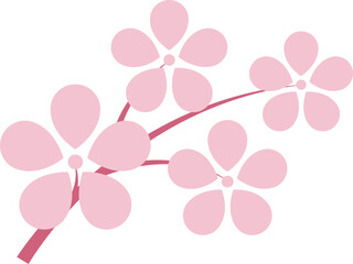 Pink Japanese cherry blossoms vector icon.