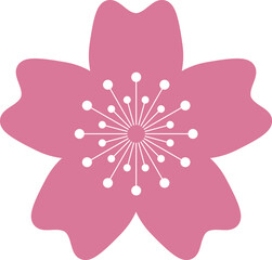 Pink Japanese cherry blossoms vector icon.