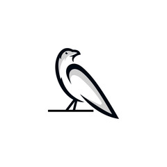 Raven bird icon design template. Raven bird symbol logotype. A racen bird line art silhouette.