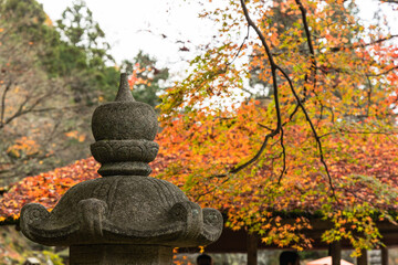 日本　京都府京都市の二ノ瀬にある白龍園の紅葉