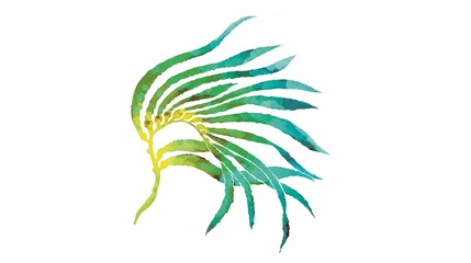 Illustration of seaweed kelp watercolor 