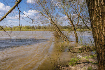 Flooded bank of the Vistula river after spring downpours, Warsaw city, Poland