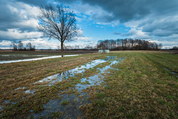Water in a meadow with trees after a rainstorm