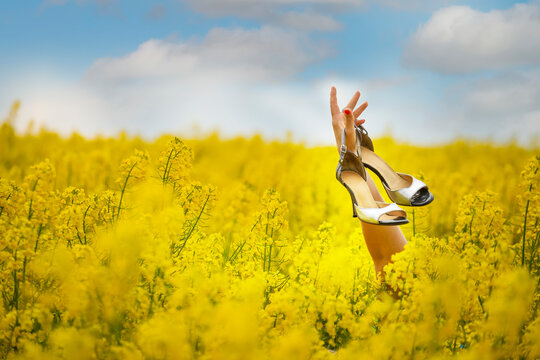 hand of a woman in high-heeled shoes among a yellow bright field.