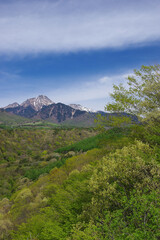 Fototapeta premium 新緑の川俣川渓谷越しに眺める赤岳