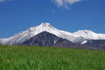 初夏の草原と冠雪した赤岳