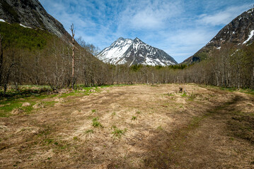 snowy mountain peak with foreground just clear of snow