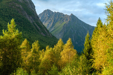 mountain peak above autumn colored trees
