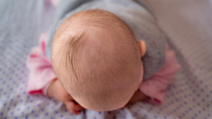 Baby head top view