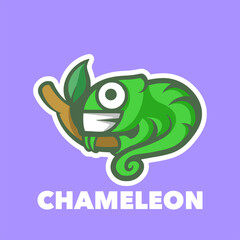 Chameleon funny