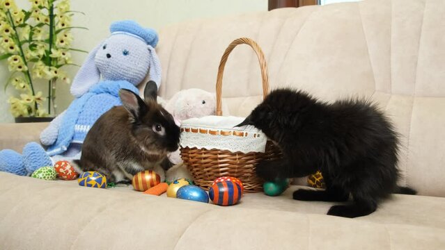 Easter Pet, Pets - Rabbit and Black Kitten Play with Basket and Eggs