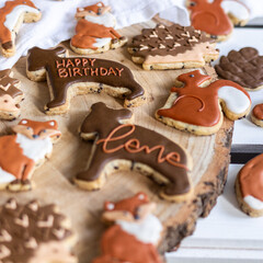 Decorated Cookies Forest Animals