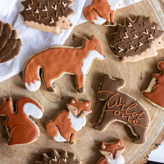 Decorated Cookies Forest Animals
