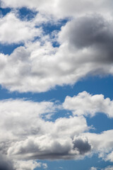 Naklejka na ściany i meble Cumulus of clouds in a blue sky