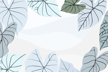Illustration vector graphic of white taro leaves - obrazy, fototapety, plakaty