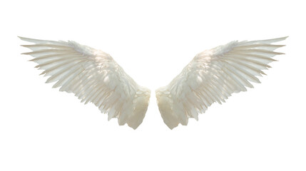 Angel wings isolated on white background