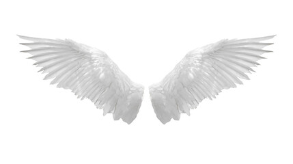 Fototapeta na wymiar Angel wings isolated on white background