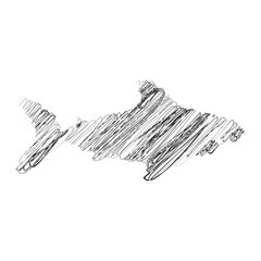 shark Hand-drawn scribble line art on white background vector illustration design