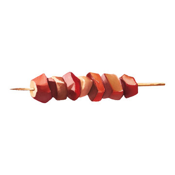 Meat Skewer Detailed Hand Drawn Illustration Painting