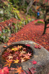 日本　京都府京都市の二ノ瀬にある白龍園の紅葉