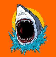 Shark Attack Vector Illustration