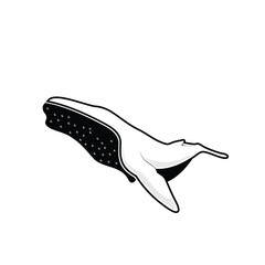 fish silhouette icon