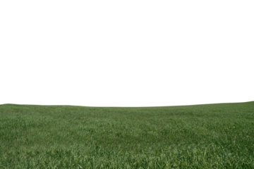 Green grass hill with cut out sky.  