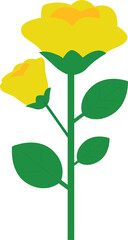 Yellow roses, Rose, Yellow flower, Flower vector