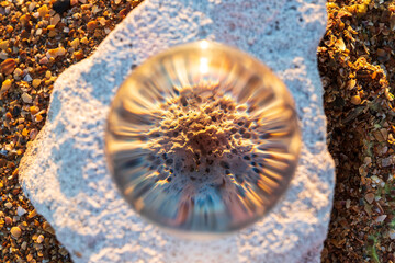 Glass lens globe on sandy beach at sunset nature pattern background and close up.