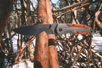Folding tactical knife for survival and hiking is stuck into trunk fallen tree in pine winter forest.
