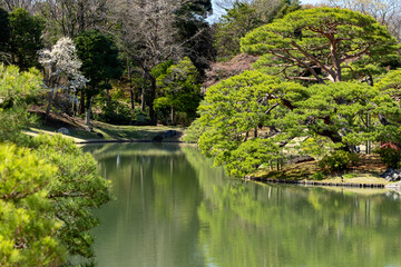 Fototapeta na wymiar 日本庭園の春　東京　六義園　3月
