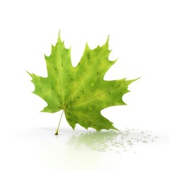 Green falling maple leaf isolated on white, generative ai