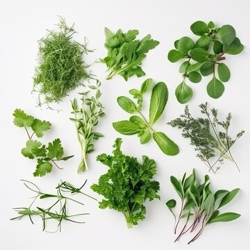 Collection of fresh herb leaves. arugula Spices, herbs on a white table. generative ai