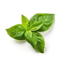 seasoning herb fresh leaves basil isolated on white background generative ai