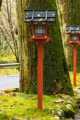 Fototapeta na wymiar 日本　京都府京都市の鞍馬にある貴船神社の奥宮へ向かう参道にある灯籠と杉の木