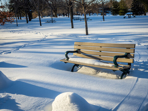 bench in snowy park